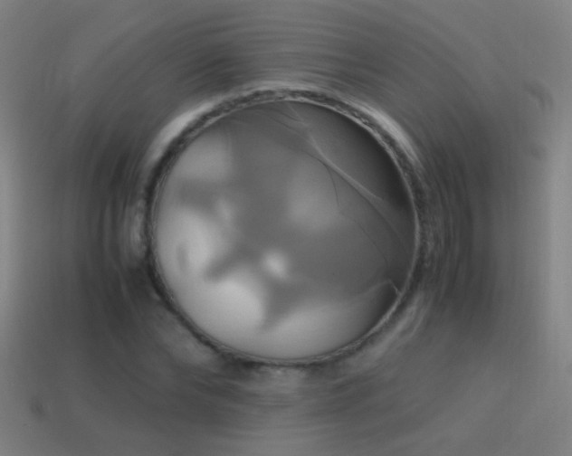 X0000114700878200910211250