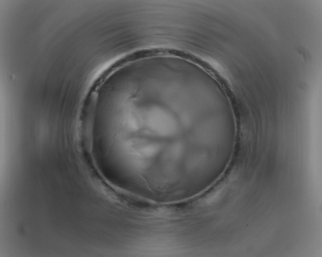 X0000114700879200910211250