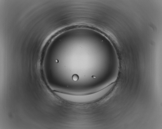 X0000114700880200910211250