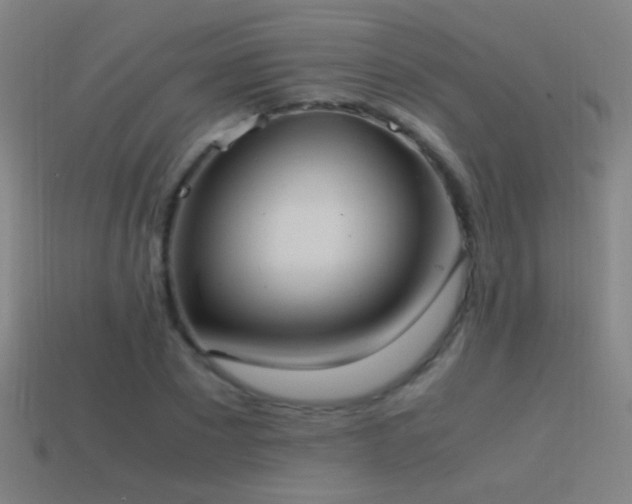 X0000114700881200910211250