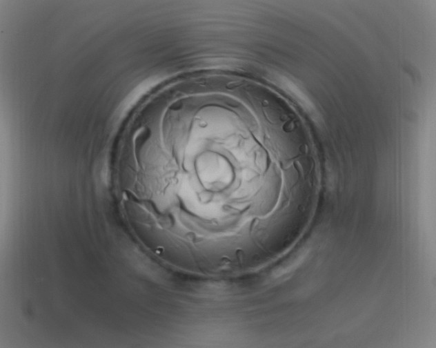 X0000114700883200910211250