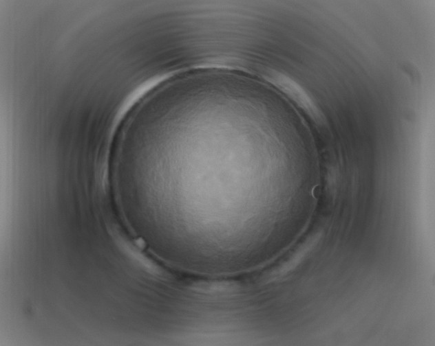 X0000114700884200910211250