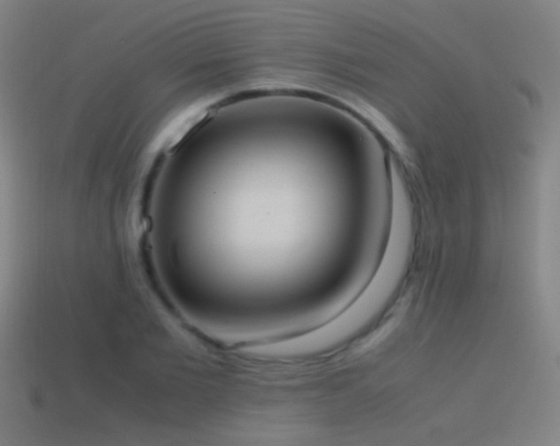 X0000114700885200910211250