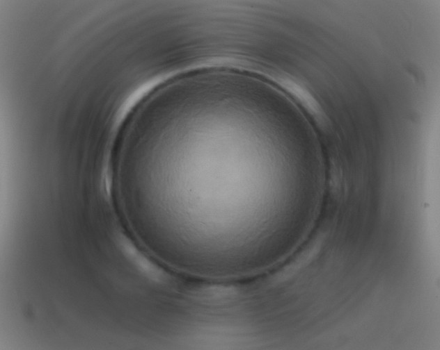 X0000114700888200910211250