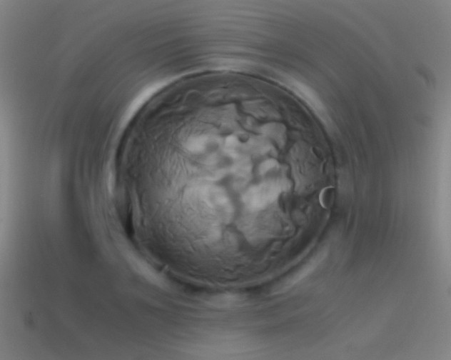 X0000114700891200910211249