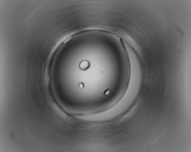 X0000114700892200910211249