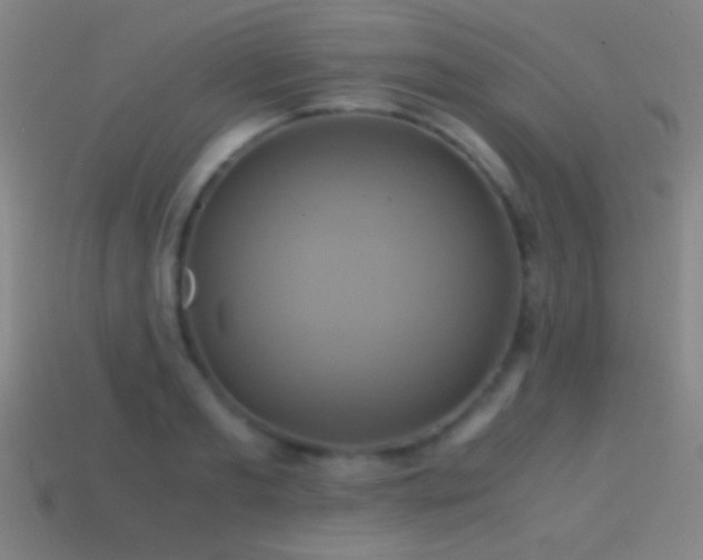 X0000114700893200910211249