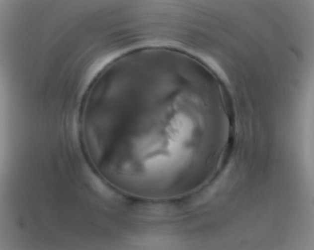 X0000114700895200910211249