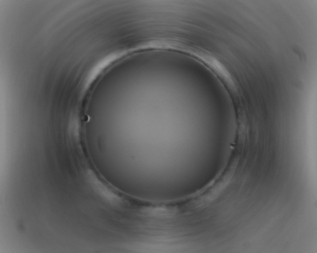 X0000114700896200910211249