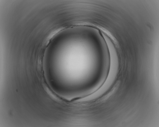 X0000114700897200910211249