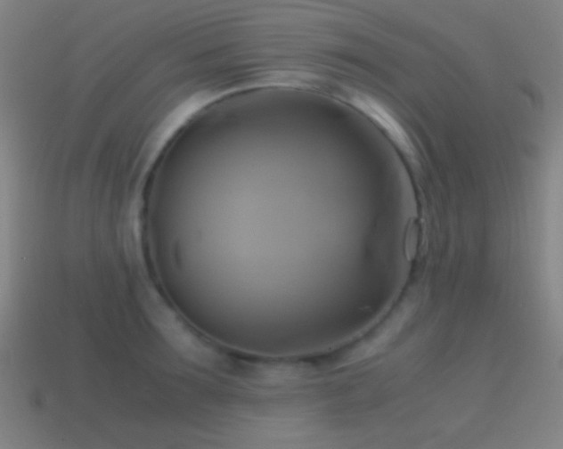 X0000114700899200910211249