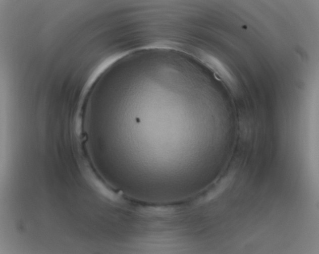 X0000114700900200910211249