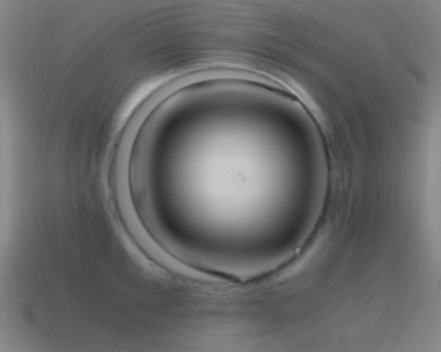 X0000114700901200910211249