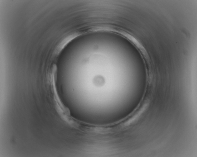 X0000114700905200910211249