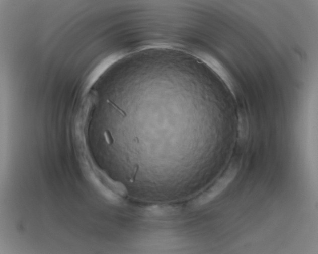 X0000114700906200910211249