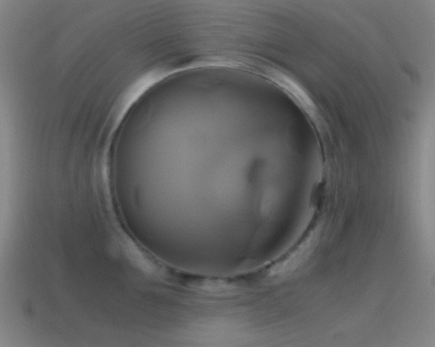 X0000114700907200910211249