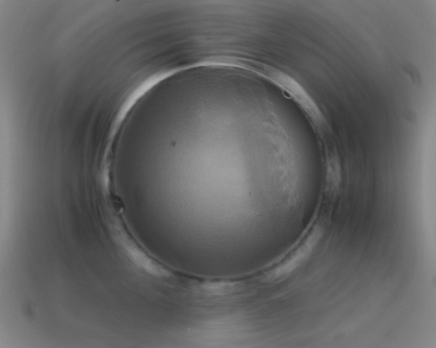 X0000114700908200910211249