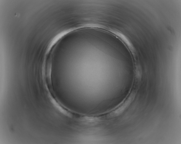 X0000114700910200910211249