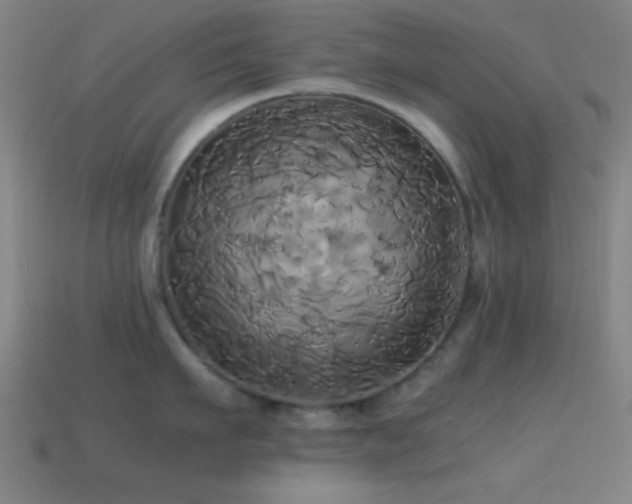 X0000114700911200910211249