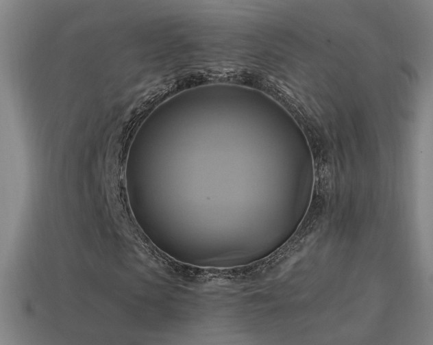 X0000114700913200910211249