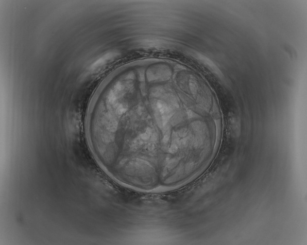 X0000114700918200910211249