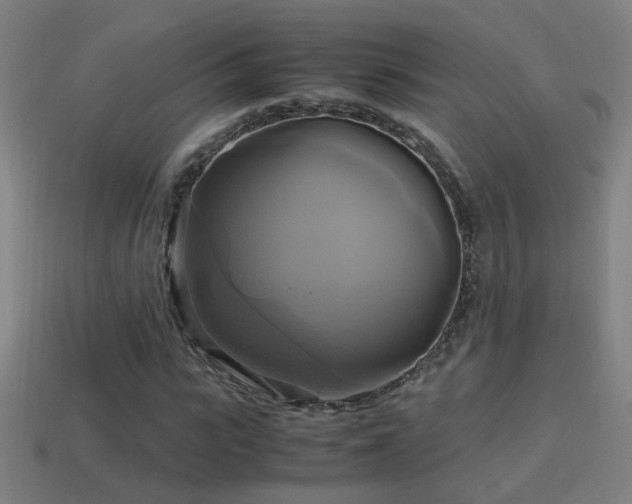 X0000114700919200910211249