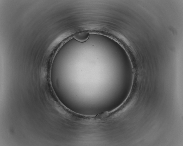 X0000114700922200910211249