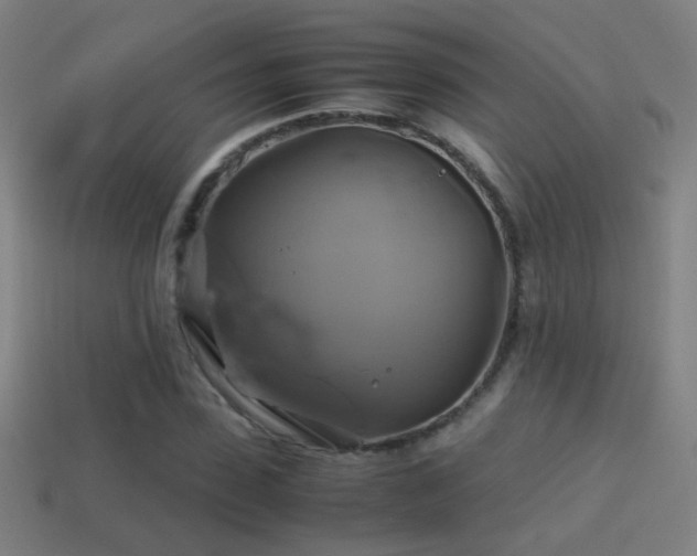 X0000114700923200910211249