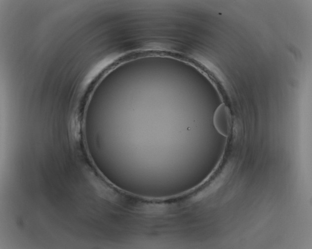 X0000114700925200910211249