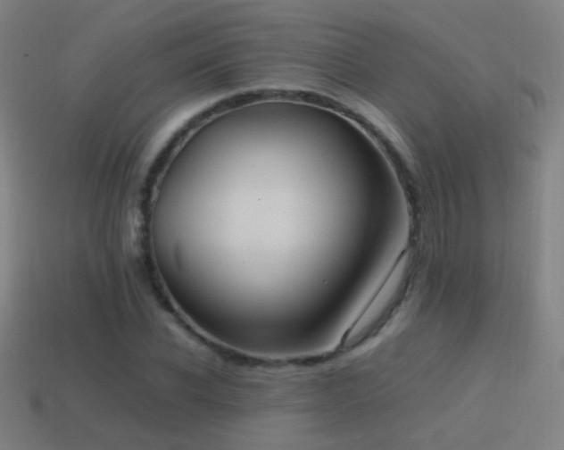 X0000114700926200910211249