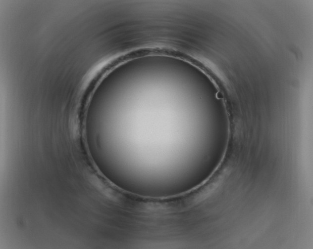 X0000114700927200910211249