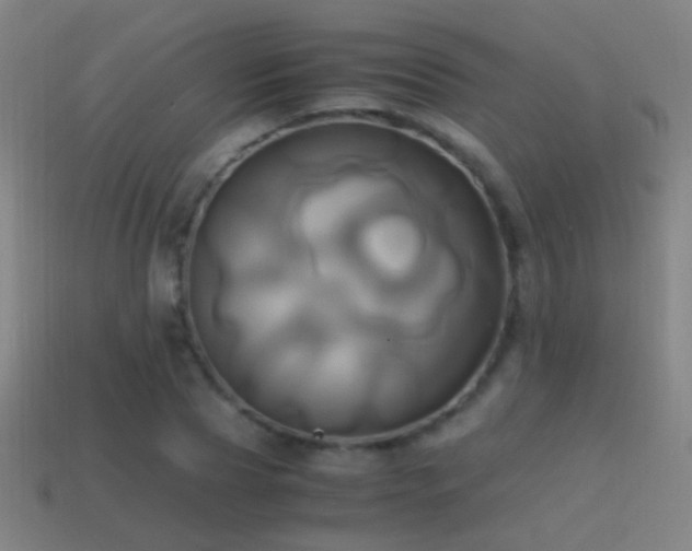 X0000114700929200910211249