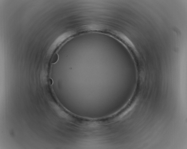 X0000114700930200910211249