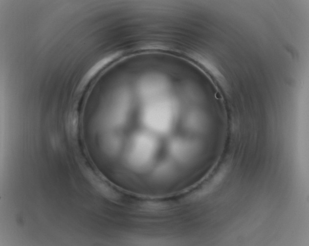 X0000114700933200910211249