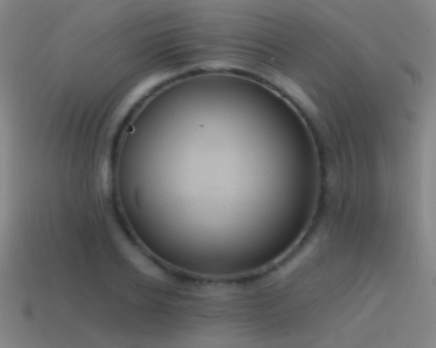 X0000114700934200910211249