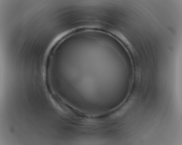 X0000114700935200910211249