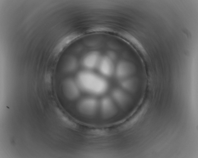 X0000114700937200910211249