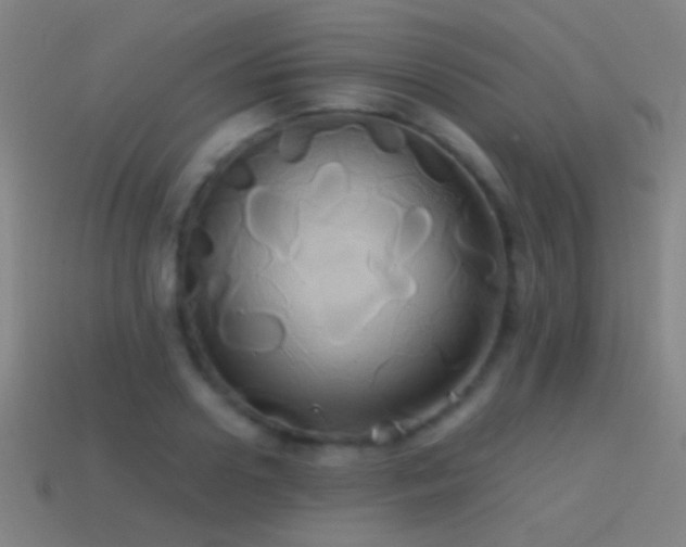 X0000114700938200910211249