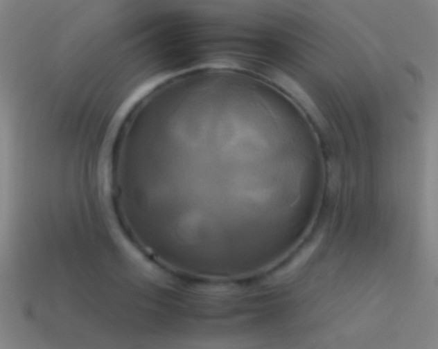 X0000114700939200910211249