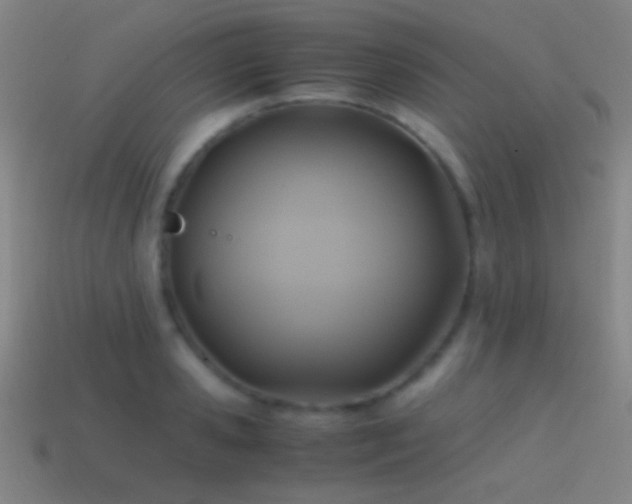 X0000114700941200910211249