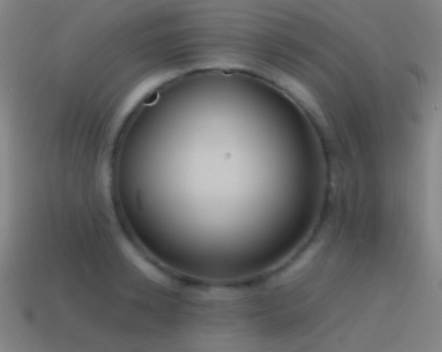 X0000114700942200910211249