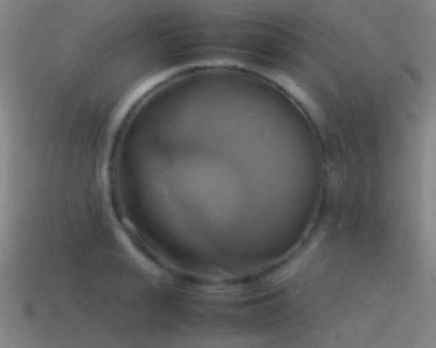 X0000114700943200910211249