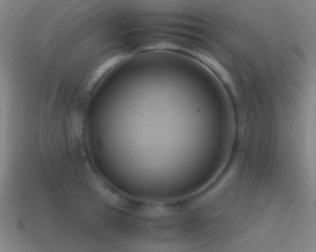 X0000114700945200910211249