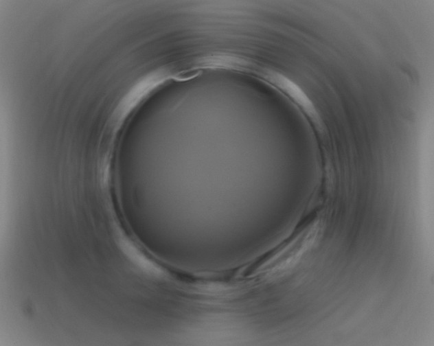 X0000114700946200910211249