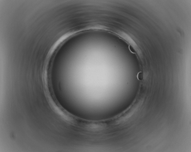 X0000114700947200910211249