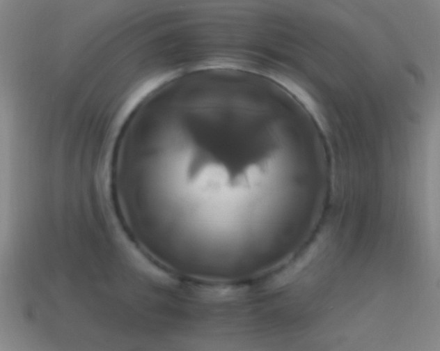 X0000114700949200910211249