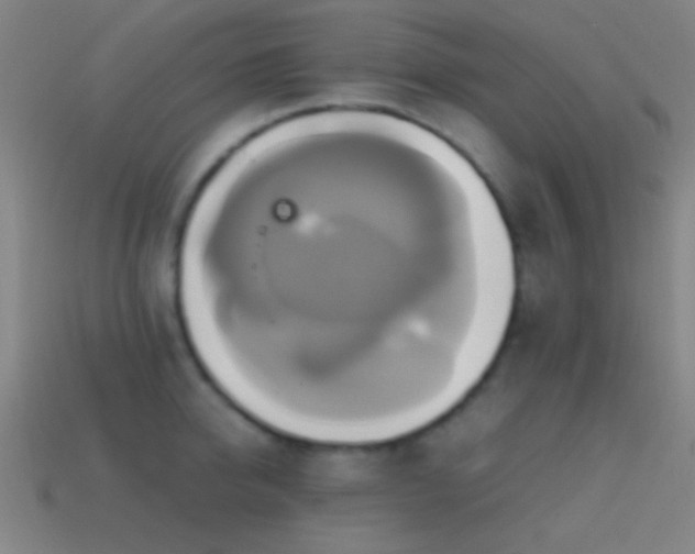 X0000114700950200910211249