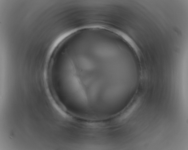 X0000114700951200910211249