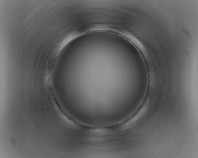 X0000114700953200910211249