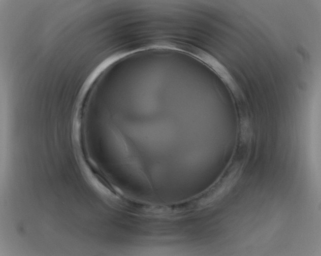 X0000114700955200910211249